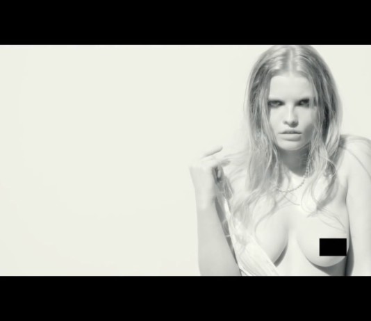 Sokół we Wrocławiu