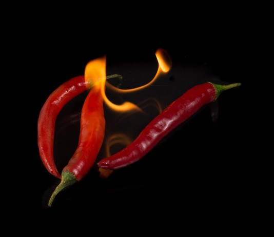 Paprika Korps promuje nowy album we Wrocławiu